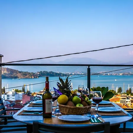 فيلة Porto *